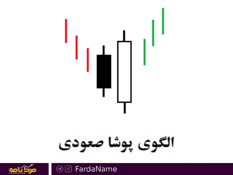 الگوی پوشای منفی و مثبت چیست؟ 