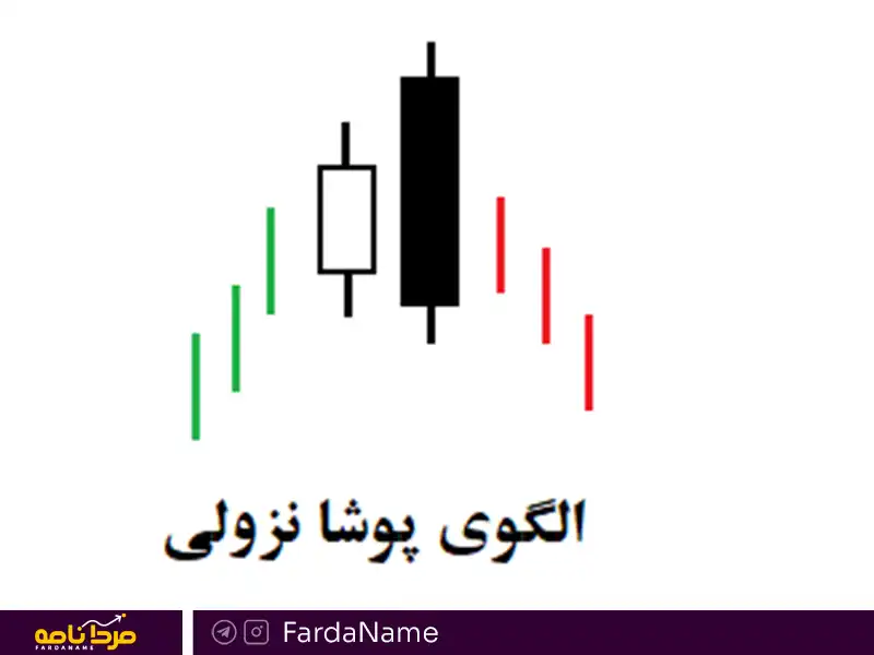 الگوی پوشای منفی و مثبت چیست؟ 