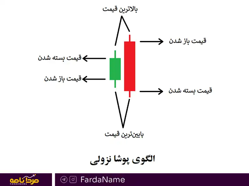 الگوی پوشای منفی و مثبت چیست؟ 